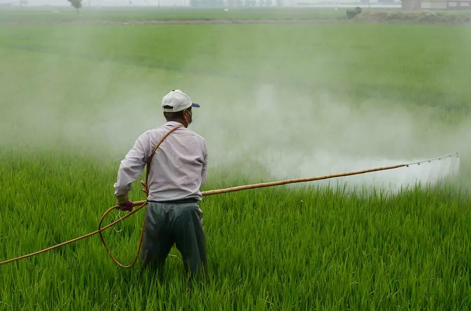 mengapa penggunaan pestisida tidak boleh berlebihan